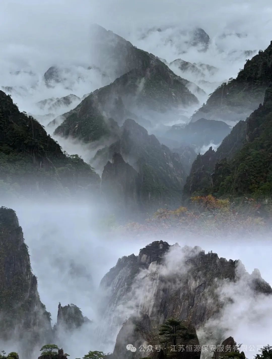 微信图片_2025-06-19_141527_051.jpg